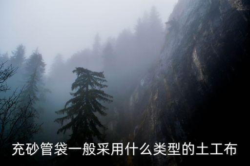 充砂管袋一般采用什么類型的土工布