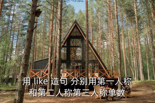 用 like 造句 分別用第一人稱和第二人稱第三人稱單數
