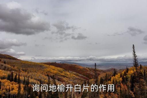 地榆升白片說明書，詢問地榆升白片的作用