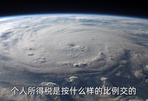 個稅繳納比例，個人所得稅是按多少比例交納