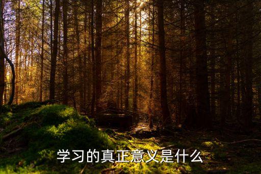 學習的道理，子曰學而不思則罔思而不學則殆告訴我們什么道理