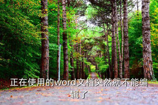 word無法編輯，word格式為何不能編輯