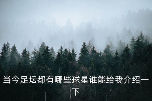 世界足球明星，世界著名足球明星資料來球友一起看唄