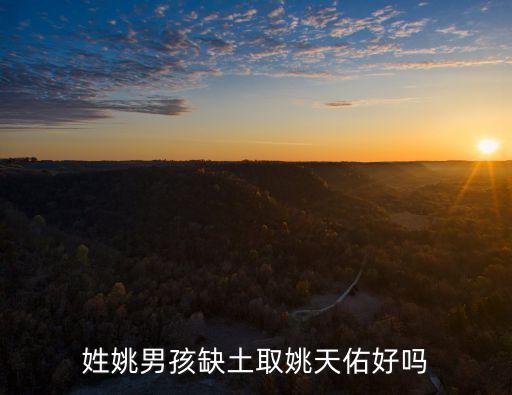 姚天佑，大家好 我姓姚 我侄子該取什么名字啊 大家 給點意見