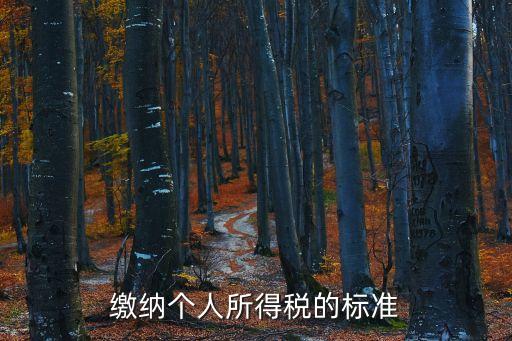 繳納個(gè)人所得稅的標(biāo)準(zhǔn)
