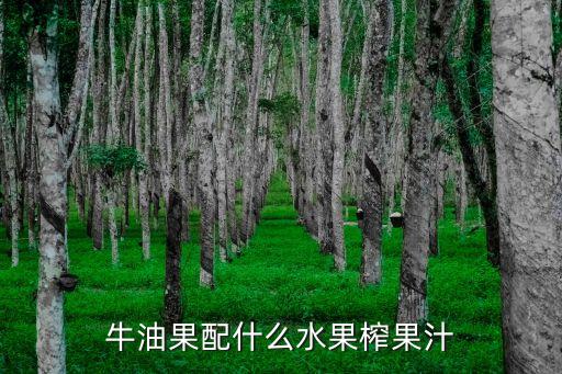 牛油果配什么水果榨果汁