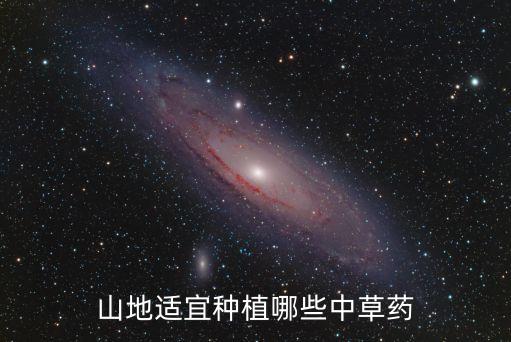 中草藥種植，農村種植什么藥材好