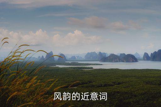 風(fēng)韻的近義詞，風(fēng)韻的近意詞