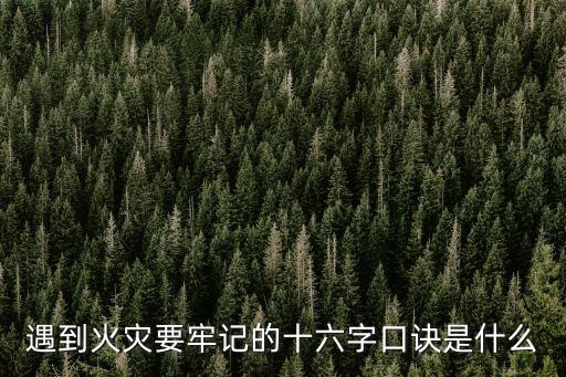遇到火災要牢記的十六字口訣是什么