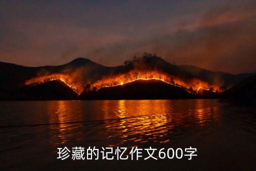 珍藏的記憶，珍藏的記憶作文600字