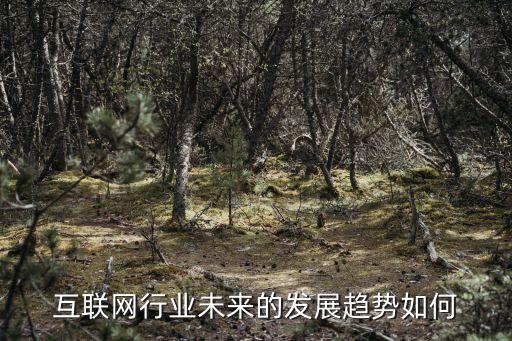 互聯網行業未來的發展趨勢如何