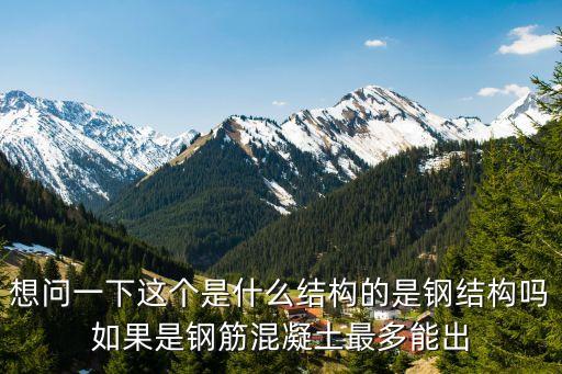 想問一下這個是什么結構的是鋼結構嗎如果是鋼筋混凝土最多能出