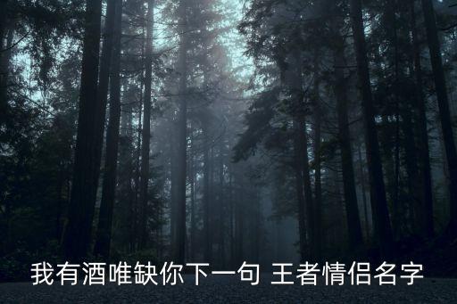 我有酒唯缺你下一句 王者情侶名字