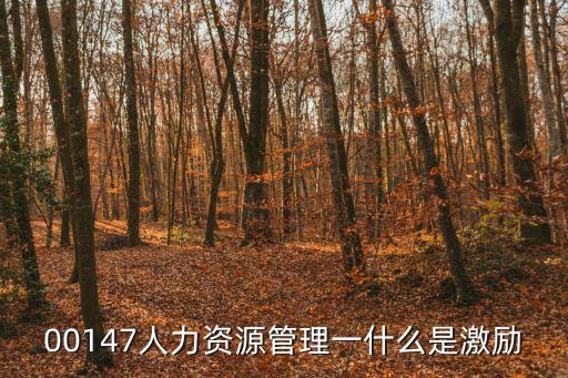 00147人力資源管理一什么是激勵