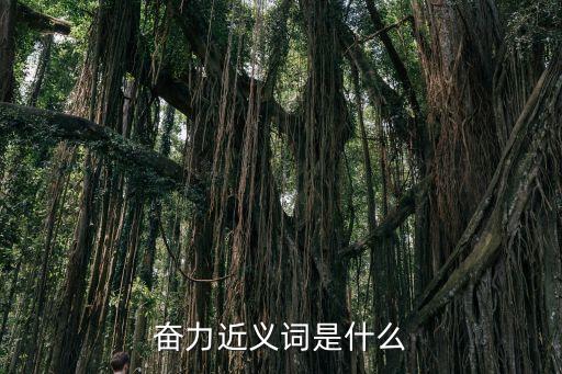 奮力的近義詞是什么，奮力的近義詞