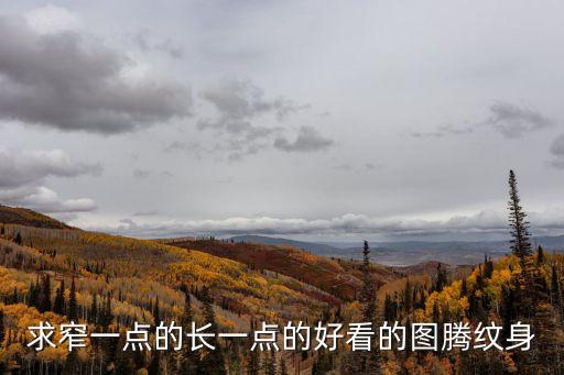求窄一點的長一點的好看的圖騰紋身