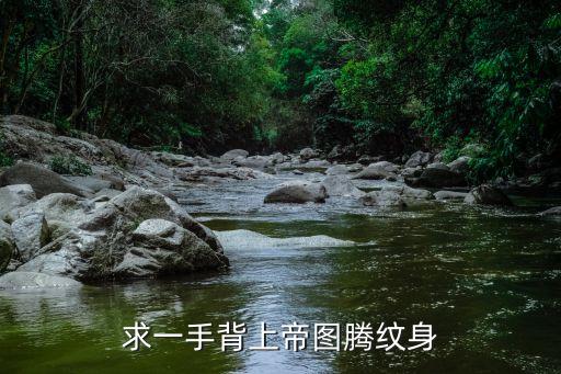 圖騰紋身，求窄一點的長一點的好看的圖騰紋身