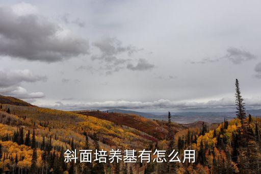 斜面培養基，配置斜面培養基作用是什么試管為什么要加塞棉塞