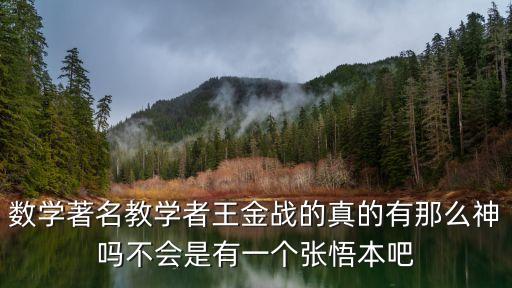 數學著名教學者王金戰的真的有那么神嗎不會是有一個張悟本吧