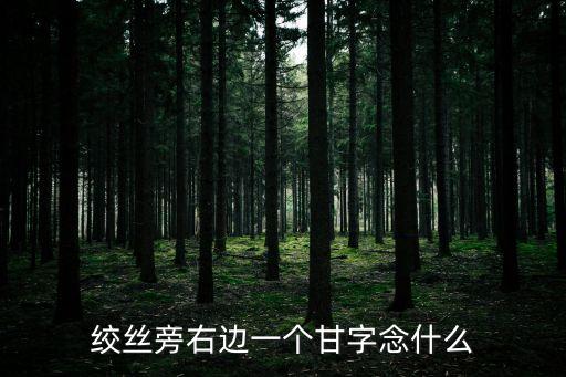 絞絲旁右邊一個甘字念什么