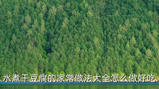 水煮干豆腐，怎么煮干豆腐
