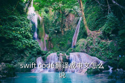 代碼英文，swift code翻譯成中文怎么說