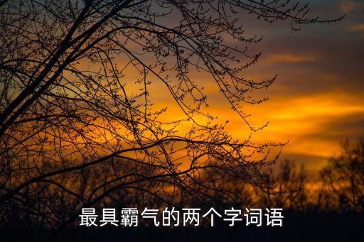 超拽的兩個(gè)字，帶個(gè)拽字的網(wǎng)名兩個(gè)字的拜托了