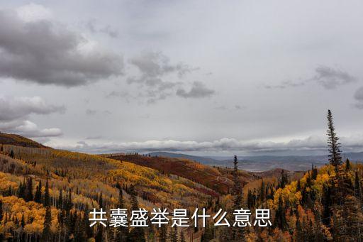 盛舉，共襄盛舉是什么意思