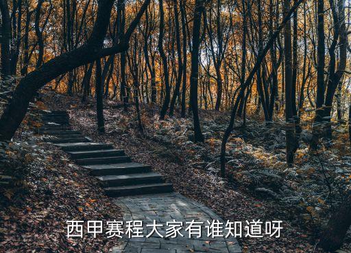西甲賽程，西甲賽程總共多少輪誰給我介紹一下呀