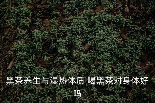 黑茶養生與濕熱體質 喝黑茶對身體好嗎