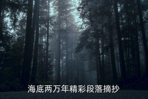 海底兩萬里摘抄，海底兩萬里好段摘抄200字加賞析200字急急急