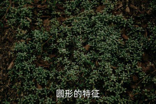 圓形的特征，圓形的特點是什么