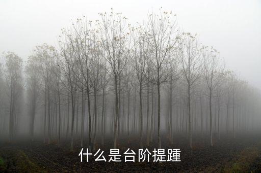 提踵訓練，提踵穿拖鞋可以練
