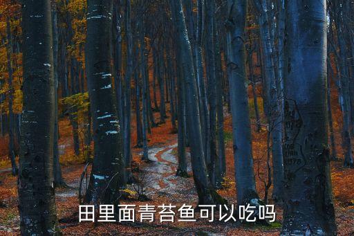 田里面青苔魚可以吃嗎