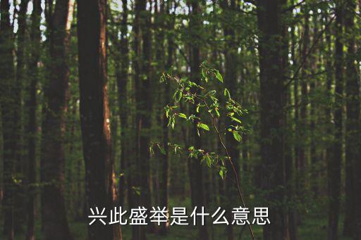 興此盛舉是什么意思