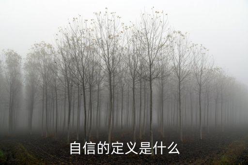 自信的意思，自信的名詞解釋