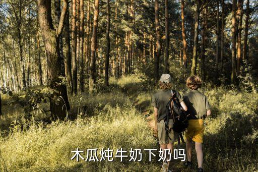 木瓜燉牛奶下奶嗎，木瓜燉牛奶可以下奶嗎