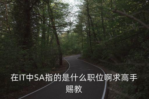 sa是什么崗位，請(qǐng)問(wèn)4S店里SA 和SR各代表什么職位啊