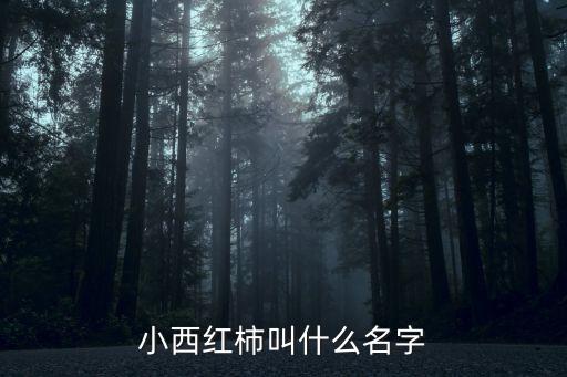 小西紅柿品種，現在市面上最好吃的小番茄品種叫什么名