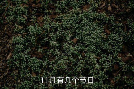11月有幾個節日