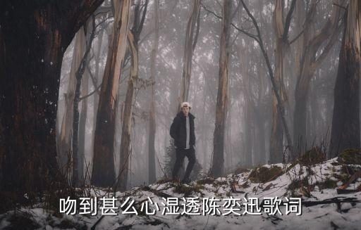 吻到心傷透，言未出淚先流是最后一句它的歌曲名是什么