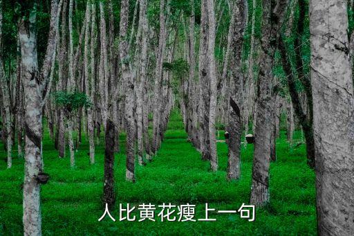 人比黃花，莫道不消魂簾卷西風(fēng)人比黃花瘦什么意思