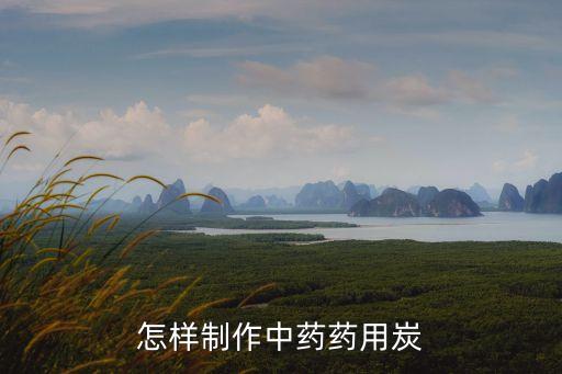 藥用炭，怎樣制作中藥藥用炭