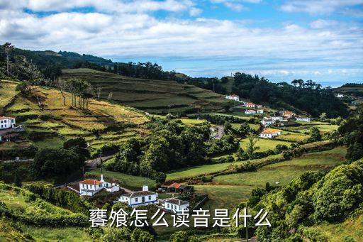 饔飧怎么讀音是什么