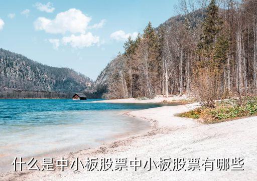 中小板股票，什么是中小板股票中小板股票有哪些