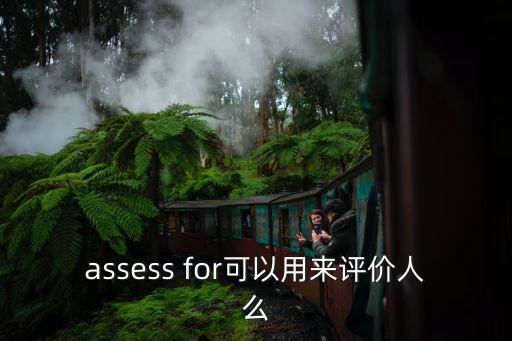 assess for可以用來評價人么