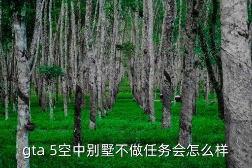 空中別墅，gta 5空中別墅不做任務會怎么樣