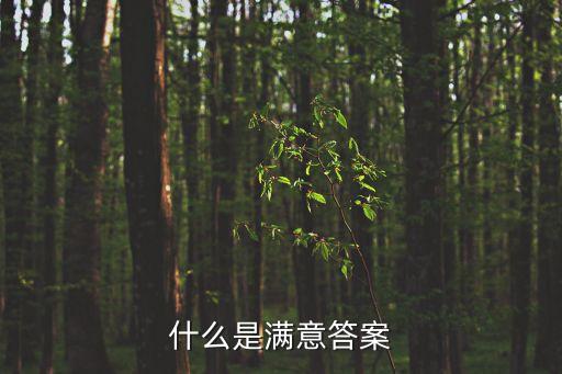 什么是滿意答案