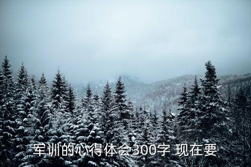 軍訓感言300字，求軍訓感想一篇300字左右就夠嫑寫的太華最好爛一點不然要