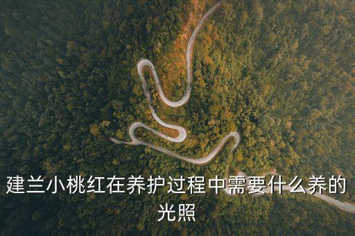 建蘭小桃紅，求視頻建蘭小桃紅怎么養